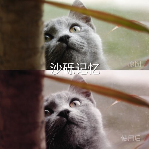 沙砾记忆LUT S-Log2DaVinciResolveS-Log3N-LogF-Log2I-LiPhone16