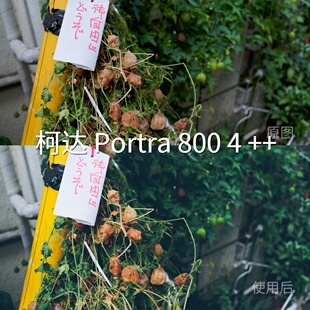 Log3CapCutD 柯达Portra8004 LUT 极影相机S LogX5系xiaomi LogI