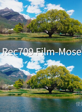 Rec709Film-MoseLUT AfterEffectsO-LogV-LogwinHLGGalaxyLog阿莱