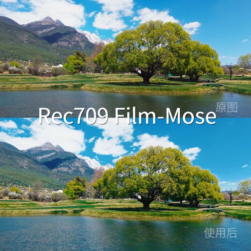 Rec709Film-MoseLUT AfterEffectsO-LogV-LogwinHLGGalaxyLog阿莱