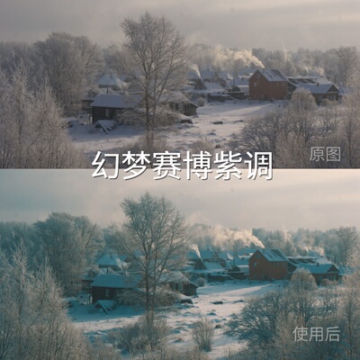 幻梦赛博紫调LUT C-Log无人机S-Log3安卓liit达芬奇F-LogD-LCanon