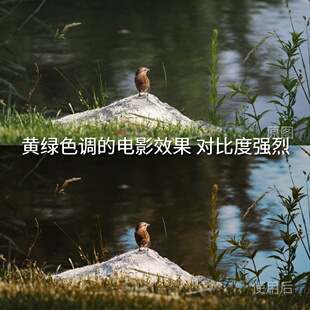 Log固件2.00剪映华为Pura70 电影效果对比度强烈LUT 黄绿色调