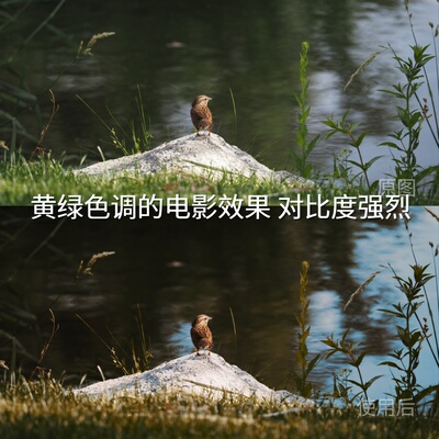 黄绿色调的电影效果对比度强烈LUT GP-Log固件2.00剪映华为Pura70