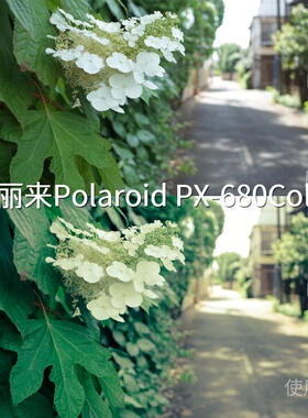 宝丽来PolaroidPX-680Cold1LUT C-Log3S-Log3I-LogAcePro2系K12s