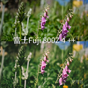 LUT Log2F Log平板C Log2DaVinciROPPO LogHLGH 富士Fuji800Z4