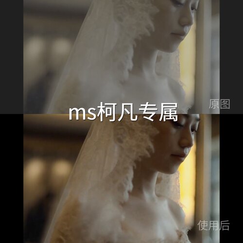 ms柯凡专属LUT vivoLogMi-LogMini4ProD-LogM运动相机电脑M佳能R5