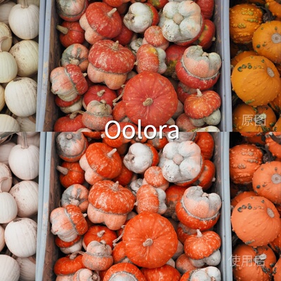 OoloraLUT O-LogRec.2020PQ1000iosF-Log2安卓D-Cinel松下‌LUMIX