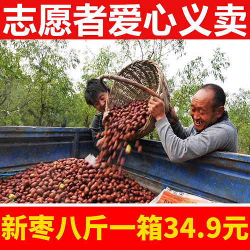 2024年临县红枣黄河滩枣新枣药用