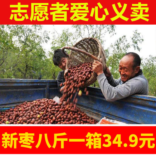 2024新枣临县黄河滩枣免洗大红枣