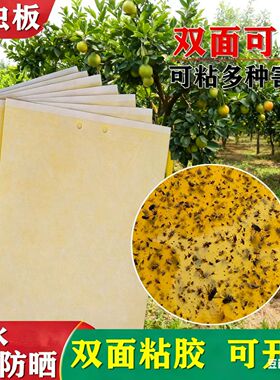 黄板双面粘虫板蓟马粘虫板黄色粘虫板大棚专用防水农用粘虫板