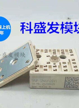 SKIIP11NAC063IT42 SKIIP23NAB126V1 SKIIP11NAB063T42 品质保证