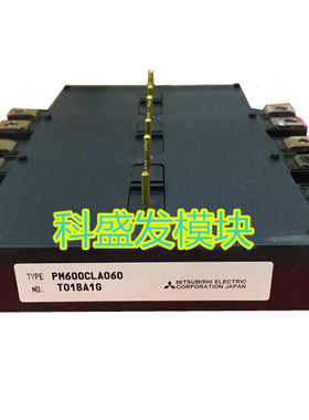 PM600CLA060 PM600DV1A060 PM600DVA060原装正品