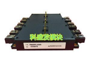 PM600CLA060 PM600DV1A060 PM600DVA060原装正品