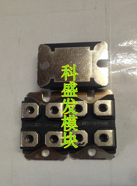 BYT261PIV400 BYT261PIV600 BYT260PIV400 DSEI2X61-06C