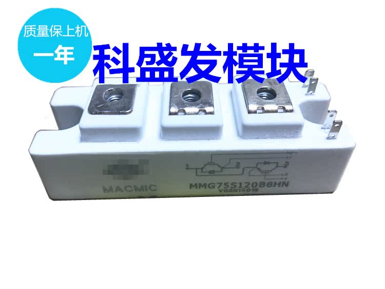 MMG50S120B6HN MMG75S120B6HN MMG100S120B6HN质量保证 欢迎采购