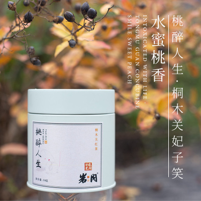 妃子笑红茶水蜜桃香正山小种50g