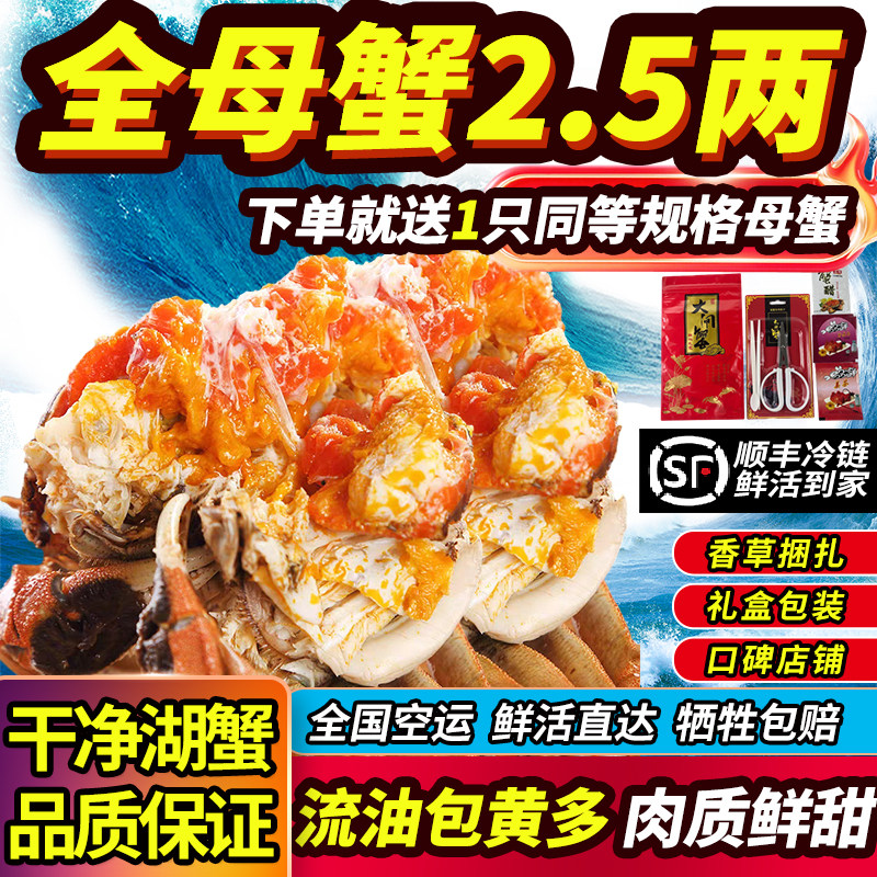 鲜活大闸蟹全母肥蟹蟹黄多洪泽湖