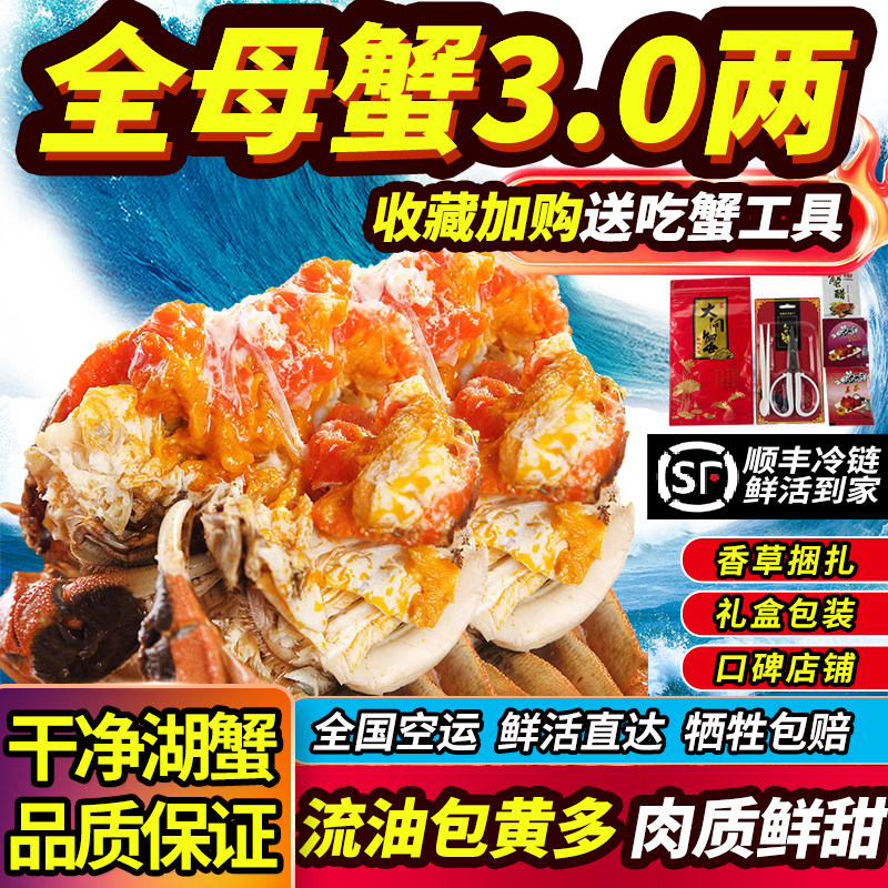超大鲜活大闸蟹全母蟹大蟹满黄
