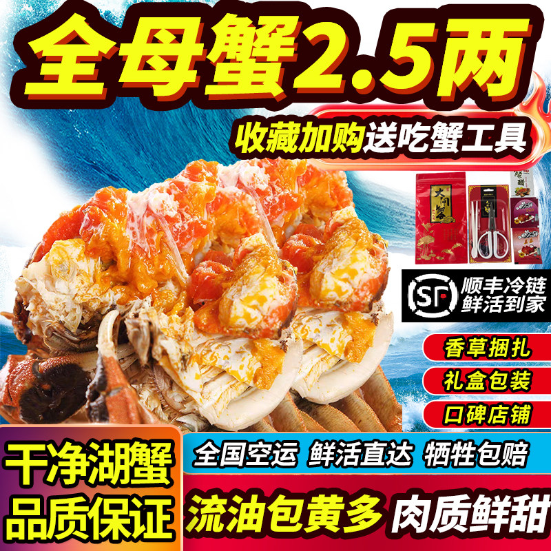 鲜活大闸蟹全母肥蟹蟹黄多洪泽湖