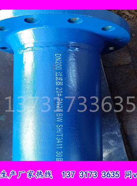DN200 DN50蓝式过滤器 T型过滤器 20号 PN25/16 SH/T3411标准厂家