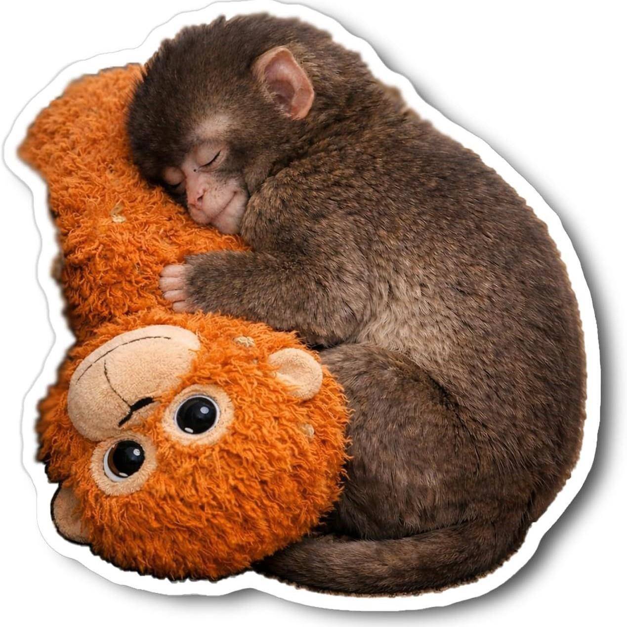 Protect Punch The Monkey保护小猴子保护拳击汽车贴纸电脑贴纸