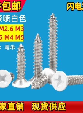 白色烤漆螺丝十字沉头KA自攻螺钉喷白漆家具窗帘空调螺钉M2-M6