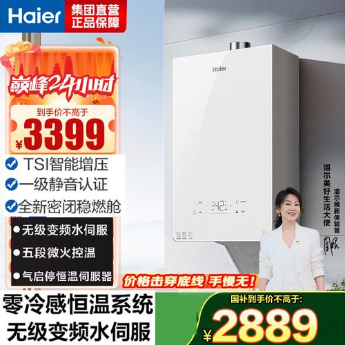 Haier/海尔 JSQ31-16KL5MAXFU1燃气热水器升零冷感恒温静音增压
