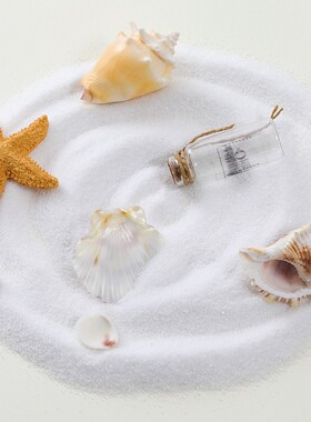 500g鱼缸底砂石英沙造景沙装饰沙灭烟沙石英砂枯山水纯白色细沙子