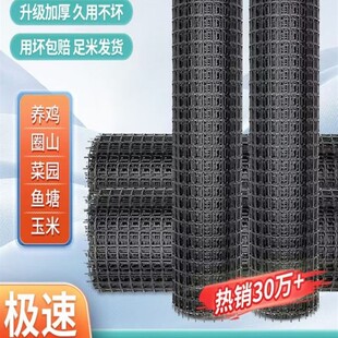 加厚塑料网养殖围栏网养鸡菜地防护网鱼塘圈栅栏围网护栏鸡笼