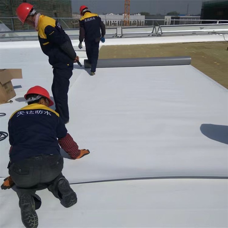 聚氯乙烯PVC防水卷材钢结构彩钢瓦室内外高分子加筋耐根穿刺屋面