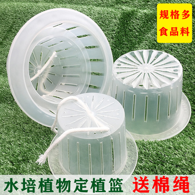 水培植物定植篮大号圆形加深固根器盆栽固定器皿无土栽培塑料花篮