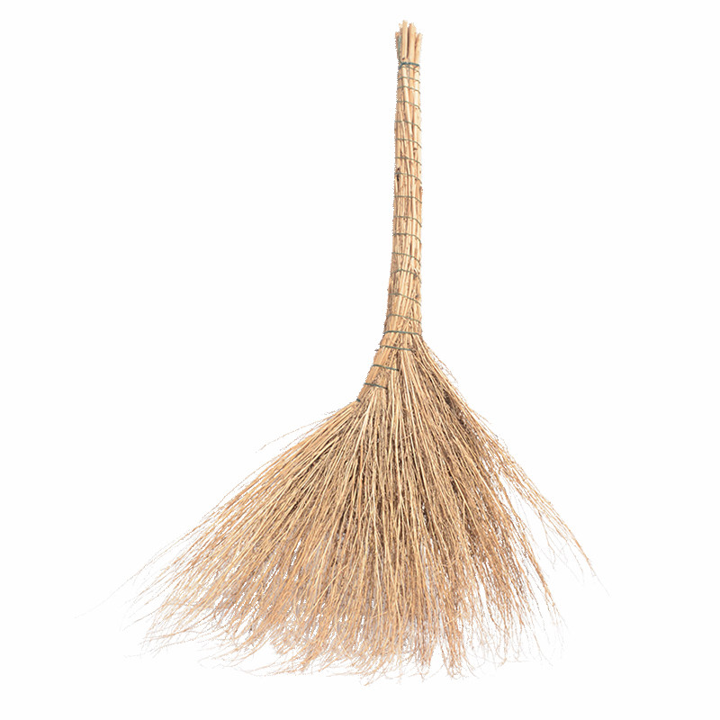 卫洋 铁扫把植物扫把 户外扫马路室内笤帚 扫庭院清洁路面,家庭/个人清洁工具,扫把,淘宝优惠券,粉丝福利购,淘宝优惠卷