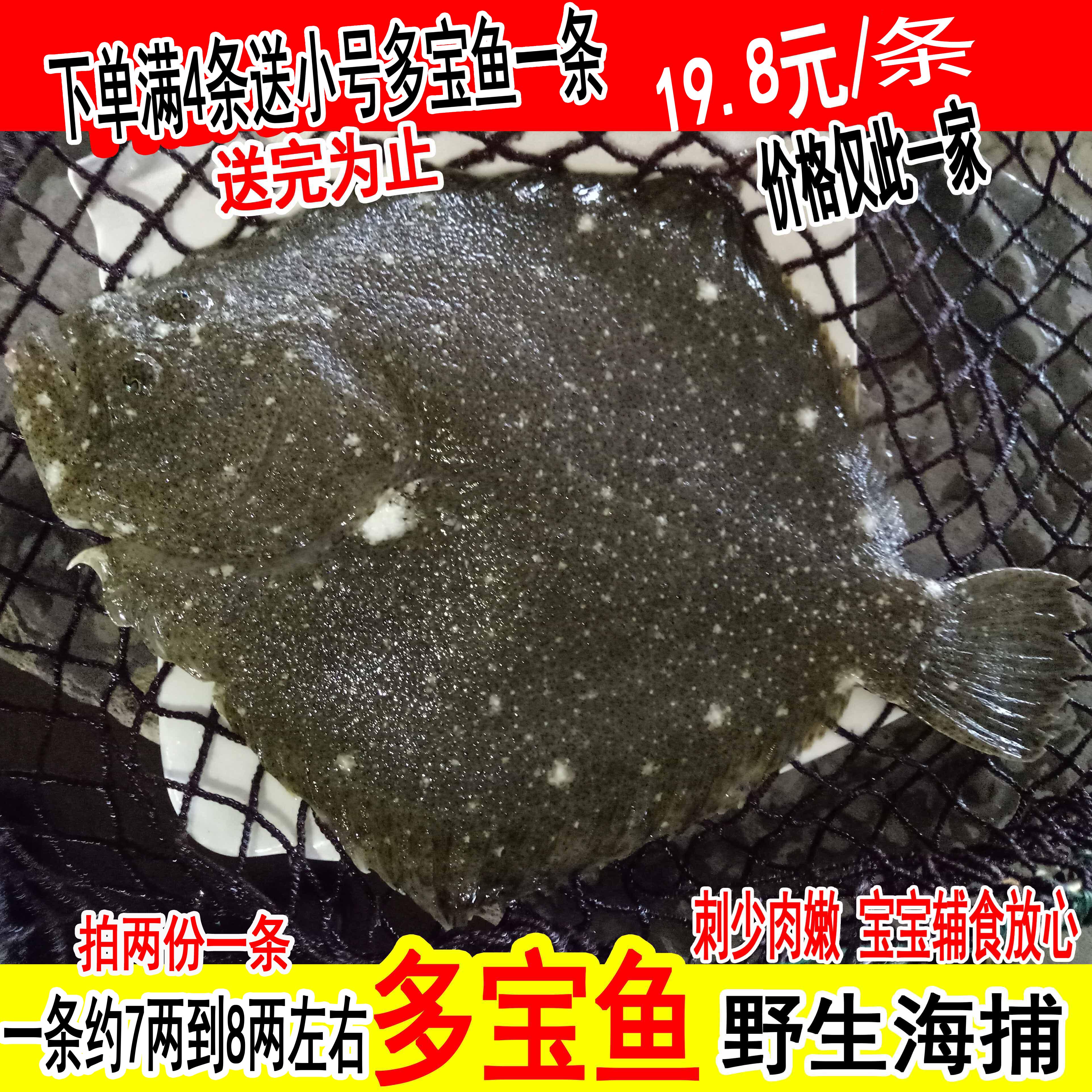 多宝鱼鲜活野生新鲜石斑鱼比目鱼花岗鱼江鱼深海鱼连云港海鲜水产