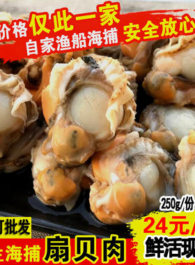 鲜活野生现剥大扇贝肉瑶贝柱 新鲜虾夷贝连云港水产海鲜烧烤贝类
