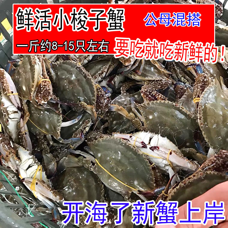 梭子蟹鲜活野生海鲜水产花脐蟹飞蟹二母蟹1斤8--15只小娘蟹连云港