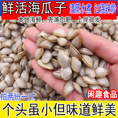 鲜活海瓜子无沙海沙子白瓜子蛤蜊