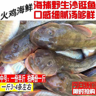 鲜活沙光鱼连云港海鲜新鲜沙逛鱼小龙鱼鲶鱼赛龙王扔巴鱼1斤3 4条