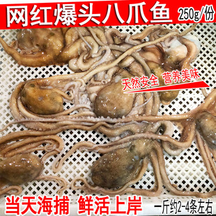 长腿八爪鱼鲜活速冻新鲜章鱼大爆头鱼拍2份1斤海鲜水产1斤约2 6条