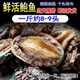 海鲜水产捞汁拍2份1只 包邮 鲜活特大鲍鱼新鲜鲍鱼小鲍鱼1斤约8 9头
