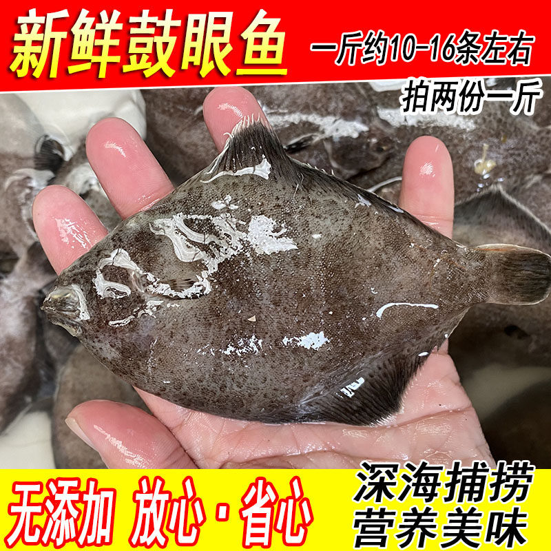 新鲜高眼鱼鲜活野生鼓眼鱼偏口鱼小嘴鱼比目鱼海鲜水产1斤10-16条
