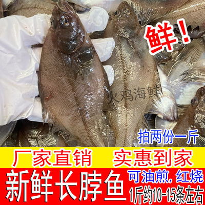 长脖鱼偏口鱼比目鱼左口鱼新鲜