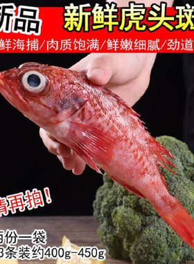 新鲜红石斑鱼野生冷冻整条大龙胆鱼富贵鱼活体深海鱼鲜活海鲜水产