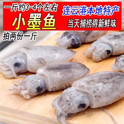 墨鱼目鱼乌贼章鱼墨斗鱼新鲜