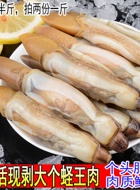鲜活新鲜现剥蛏王肉大竹蛏子野生竹节蛏蛏子王海圣子海鲜水产250g