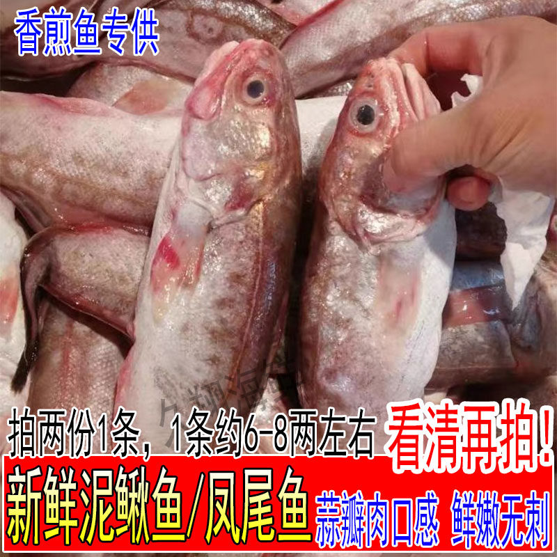 新鲜香煎凤尾鱼泥鳅鱼黄尾鱼油炸香薰鱼海鱼鲜活海鲜水产拍2份1条