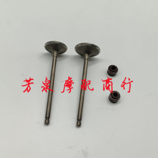 王野GTS110电喷踏板摩托车WY110T 排气门杆送气门油封 2E进