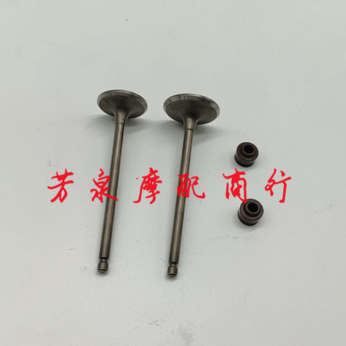 适用豪爵DH/EH/DK150摩托车HJ150-25-27-27D-30-30F气门杆气门伞