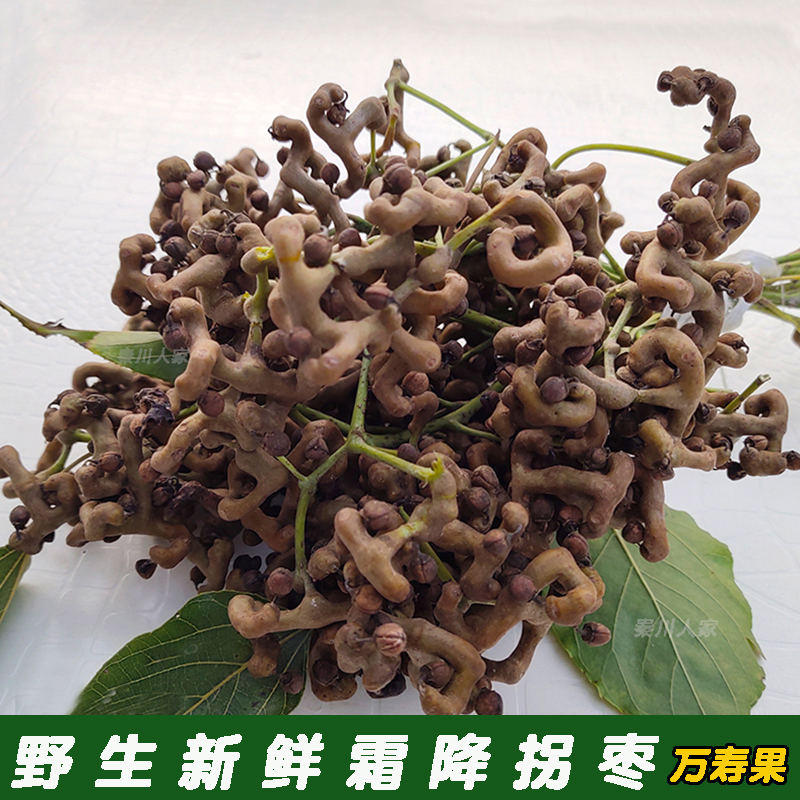 野生拐枣万寿果泡酒枳椇子鸡爪梨