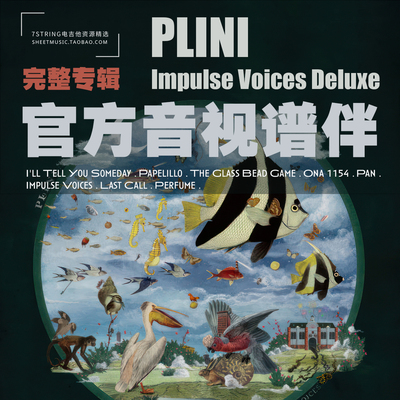 Plini电吉他ImpulseVoices伴奏
