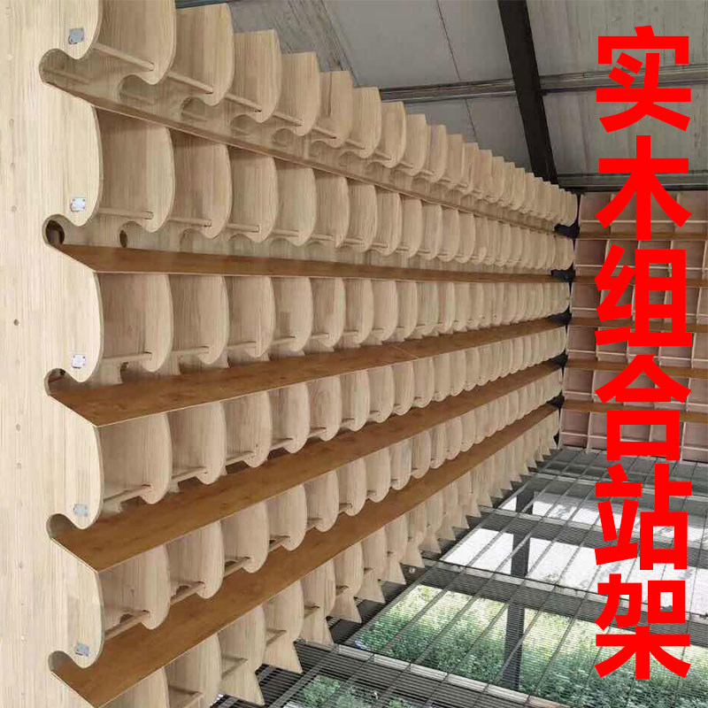 鸽子用具架站组合工棚实木寄养